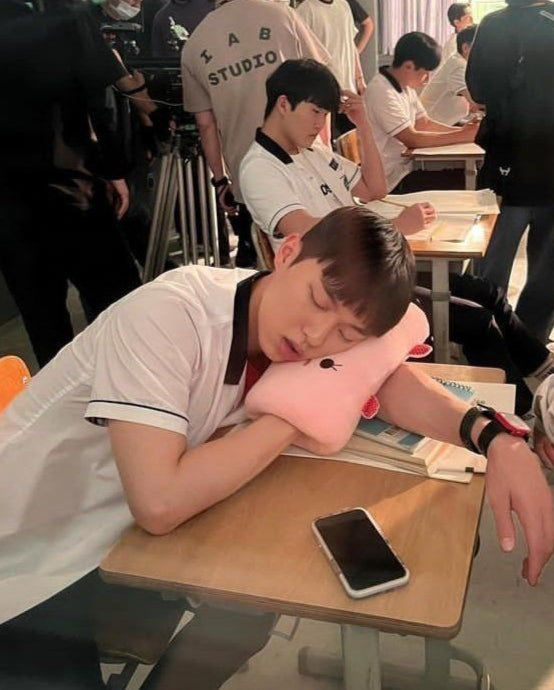 Suho’s Pink Bunny arm Pillow