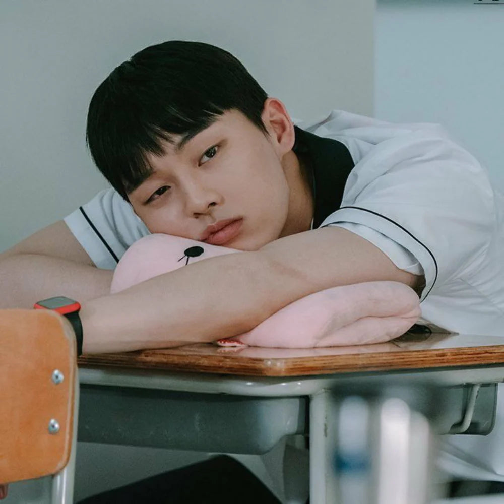 Suho’s Pink Bunny arm Pillow